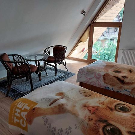 Apartamenty Cede Zakopane Exteriér fotografie