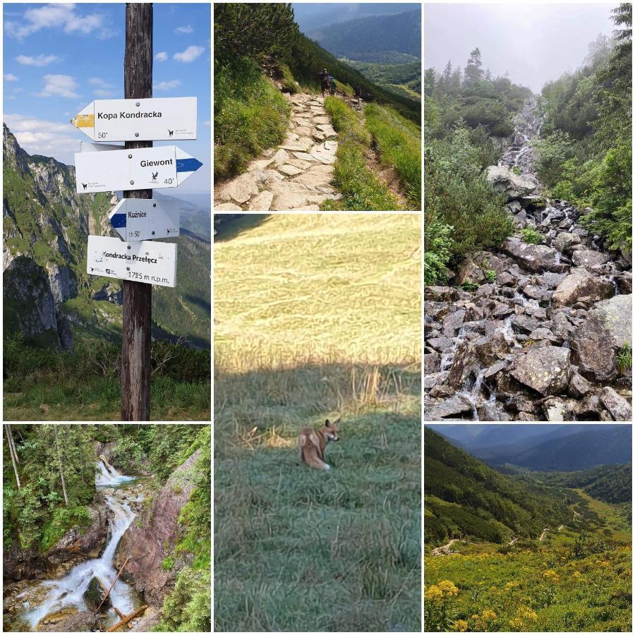 Apartamenty Cede Zakopane Exteriér fotografie