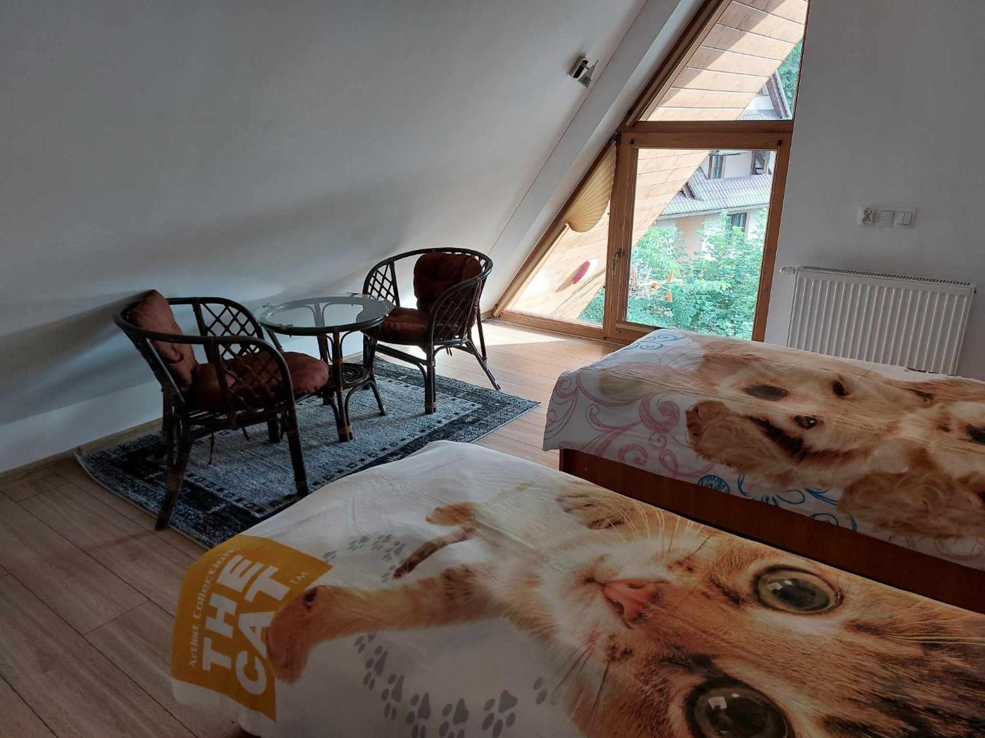 Apartamenty Cede Zakopane Exteriér fotografie