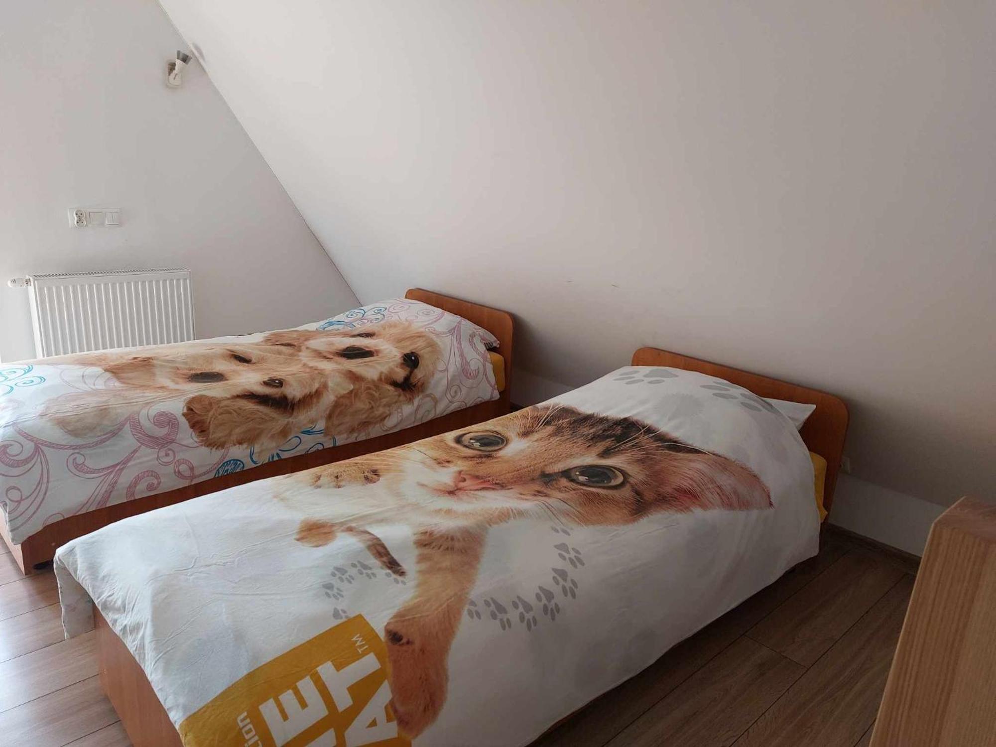 Apartamenty Cede Zakopane Exteriér fotografie